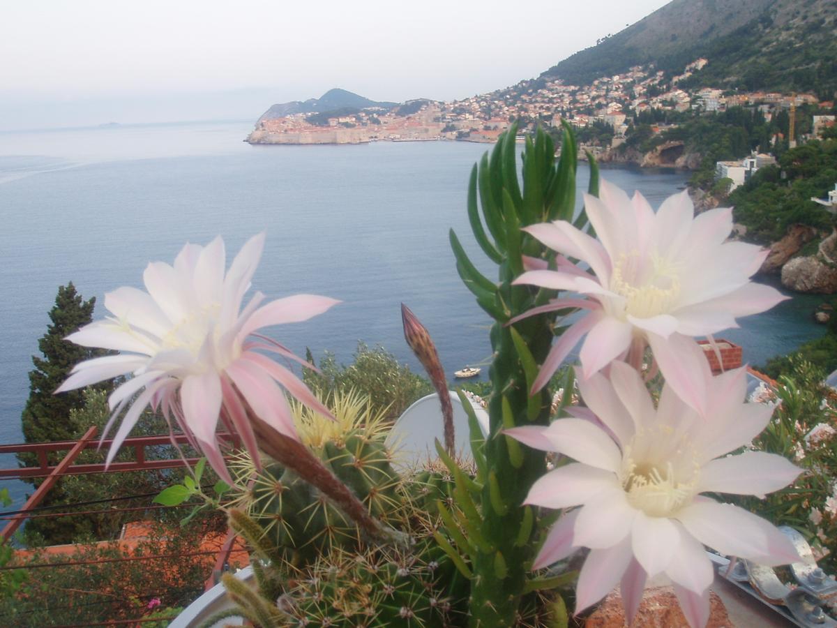 Guest Accommodation Sveti Jakov Dubrovnik Ngoại thất bức ảnh